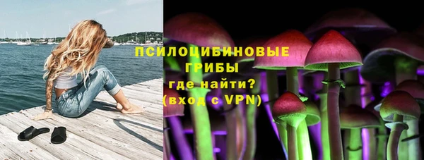 стафф Тайга