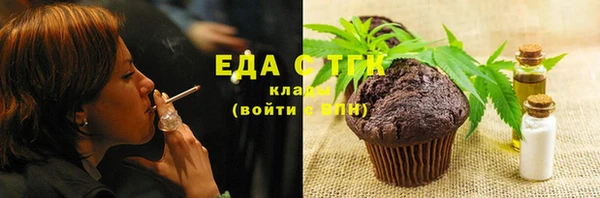 хмурый Тавда