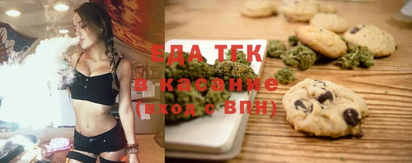 хмурый Тавда