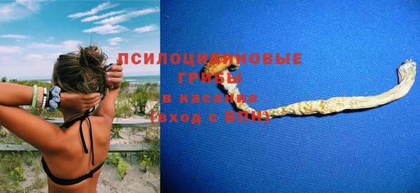 стафф Тайга