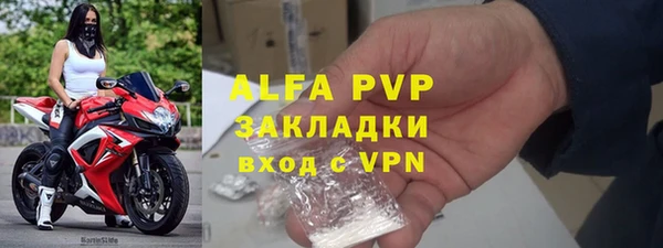 хмурый Тавда