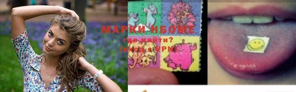 стафф Тайга
