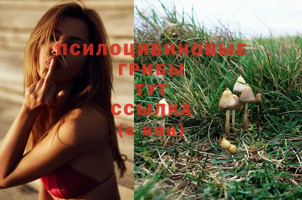 хмурый Тавда