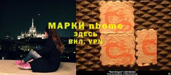 хмурый Тавда
