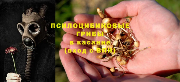 хмурый Тавда