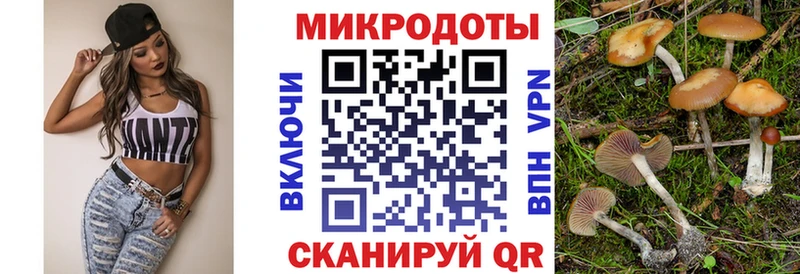 Галлюциногенные грибы Magic Shrooms  Купить  Солнечногорск 