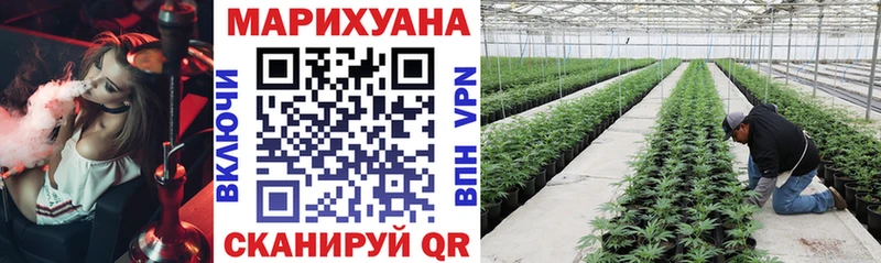 Бошки Шишки гибрид  Купить закладки  Солнечногорск 